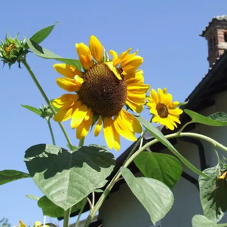 La Meridiana, Monolocale In Cascina Ristrutturata *