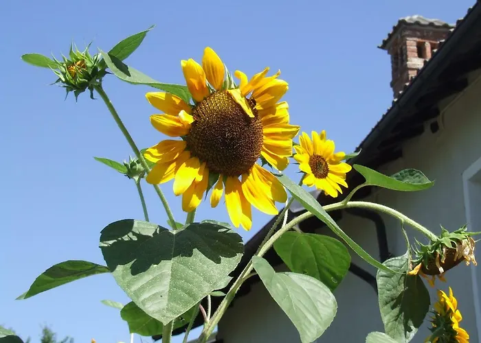 La Meridiana, Monolocale In Cascina Ristrutturata *