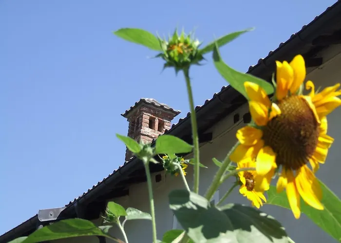 La Meridiana, Monolocale In Cascina Ristrutturata *